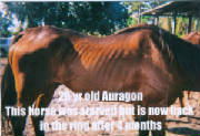 auragonbefore.jpg