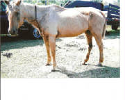 mistybeforepic002.jpg