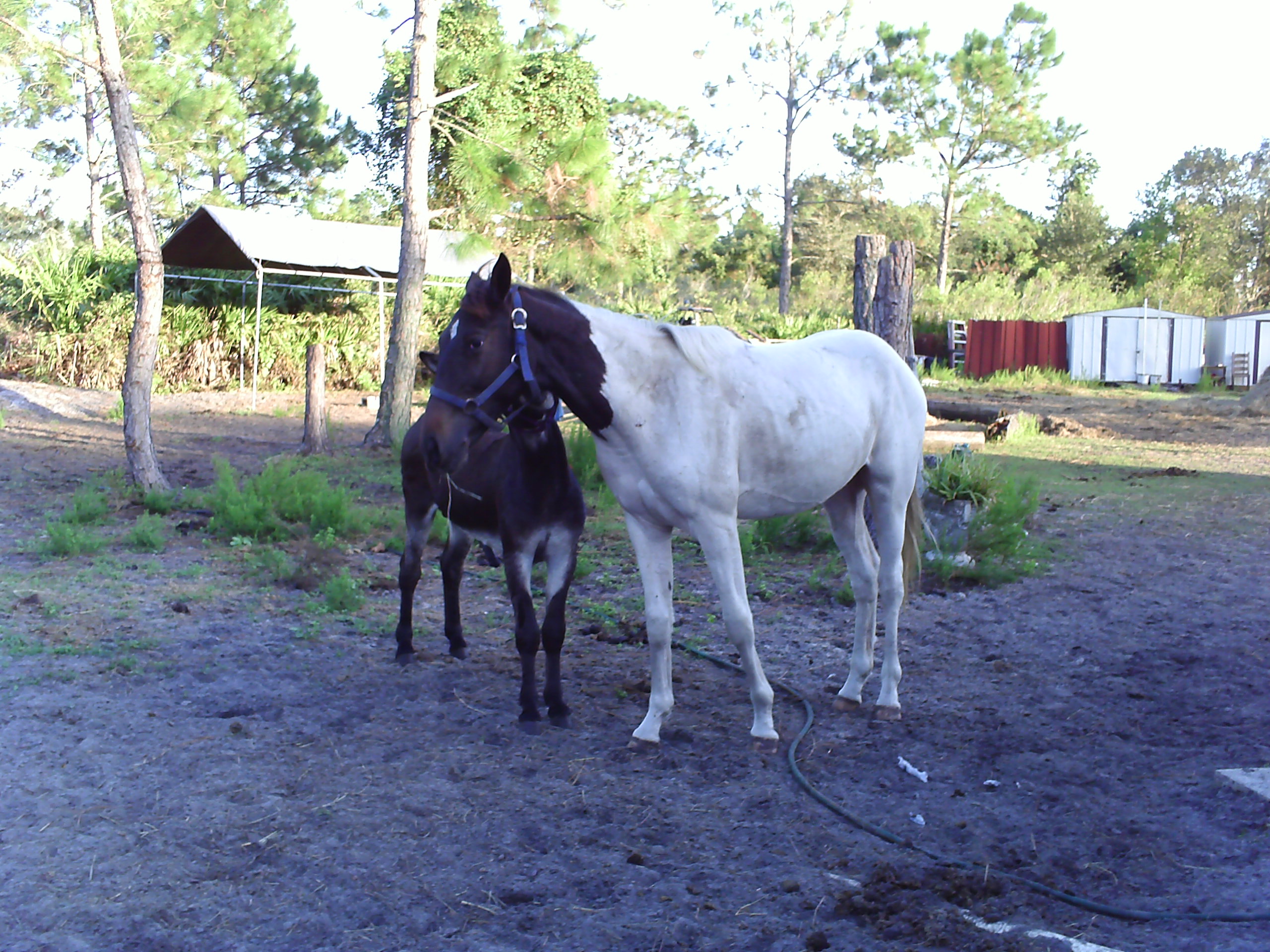 picture005.jpg